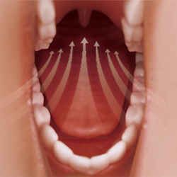 Oral Sucking