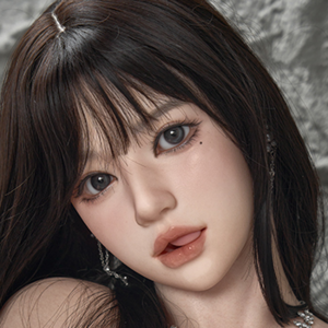 T4 Evie (ROS)