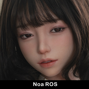 Noa (ROS)