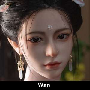Wan (ROS)