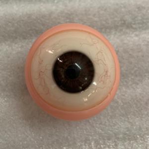 Movable Eyes With Veins